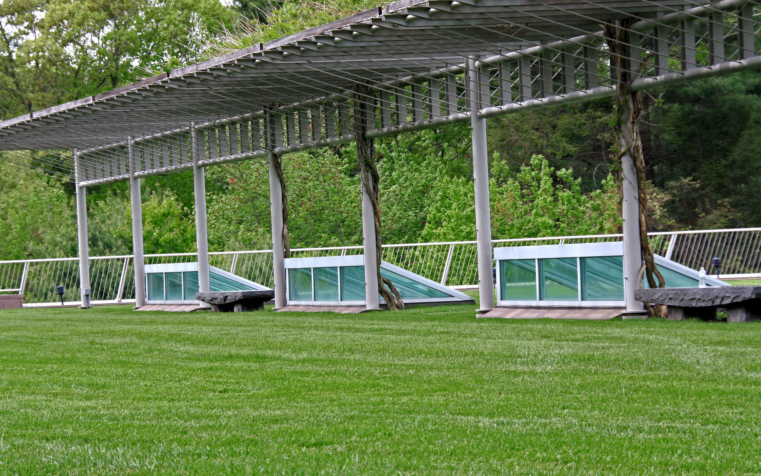 Skylights on a lawn and a pergola with climbing plants